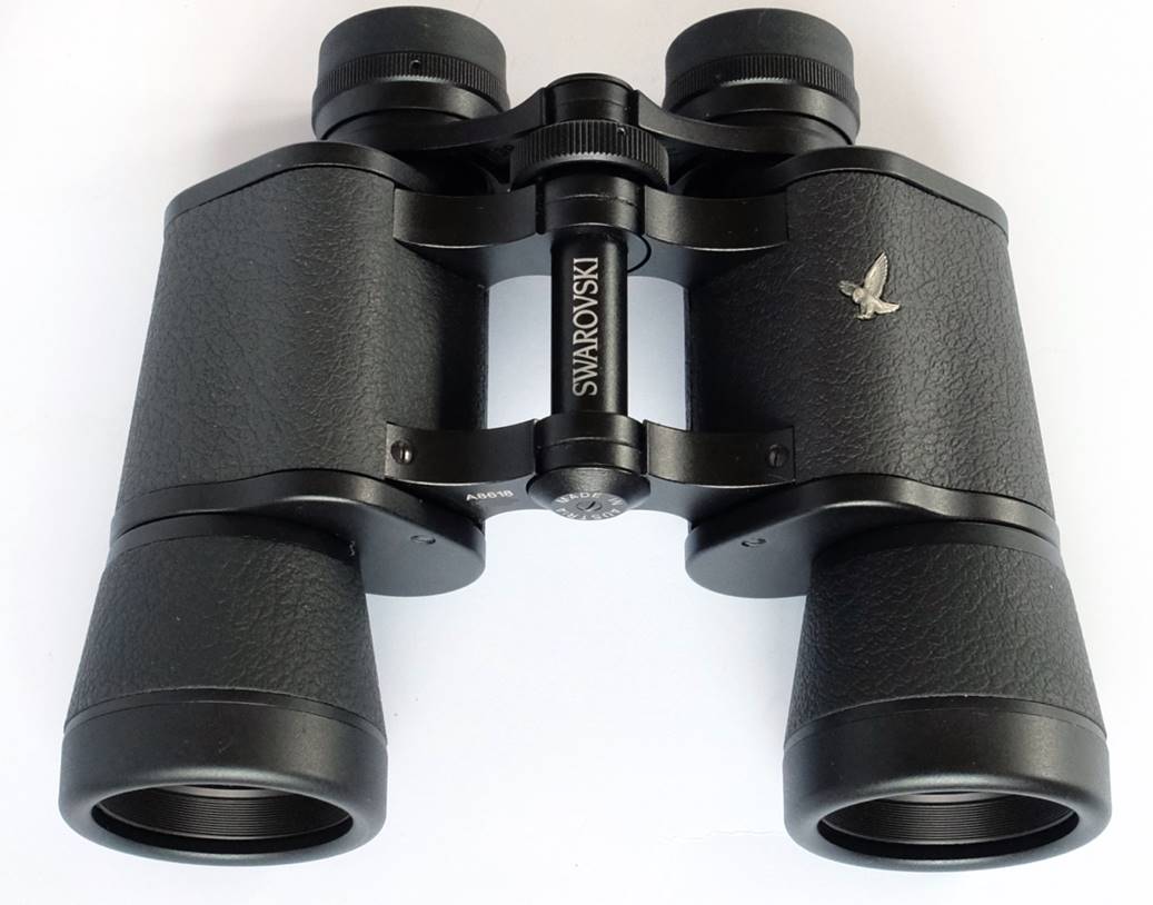 施华洛世奇蓝色天鹅测评,施华洛世奇闪烁白和白色对比