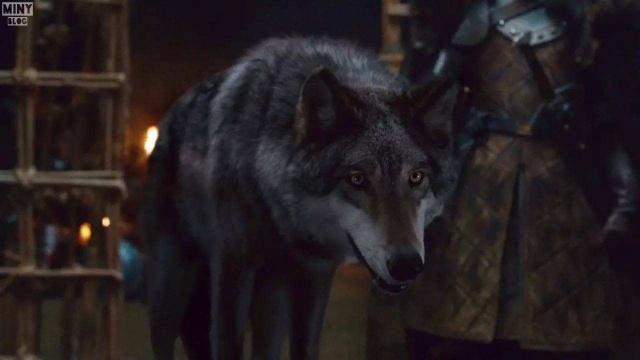 权力的游戏红袍女巫跟雪诺,冰原狼雪诺与白灵完整版