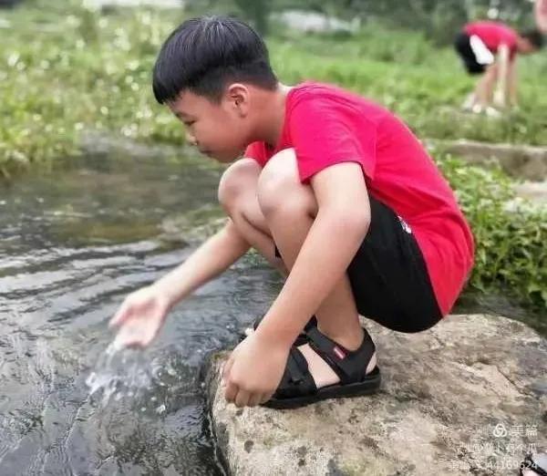 升旗手护旗手上升旗台步骤,升旗和护旗手的简短讲话