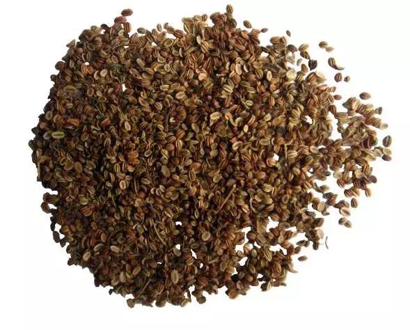 中药蛇床子是个啥样子,和蛇床子功效相似的中药有哪些