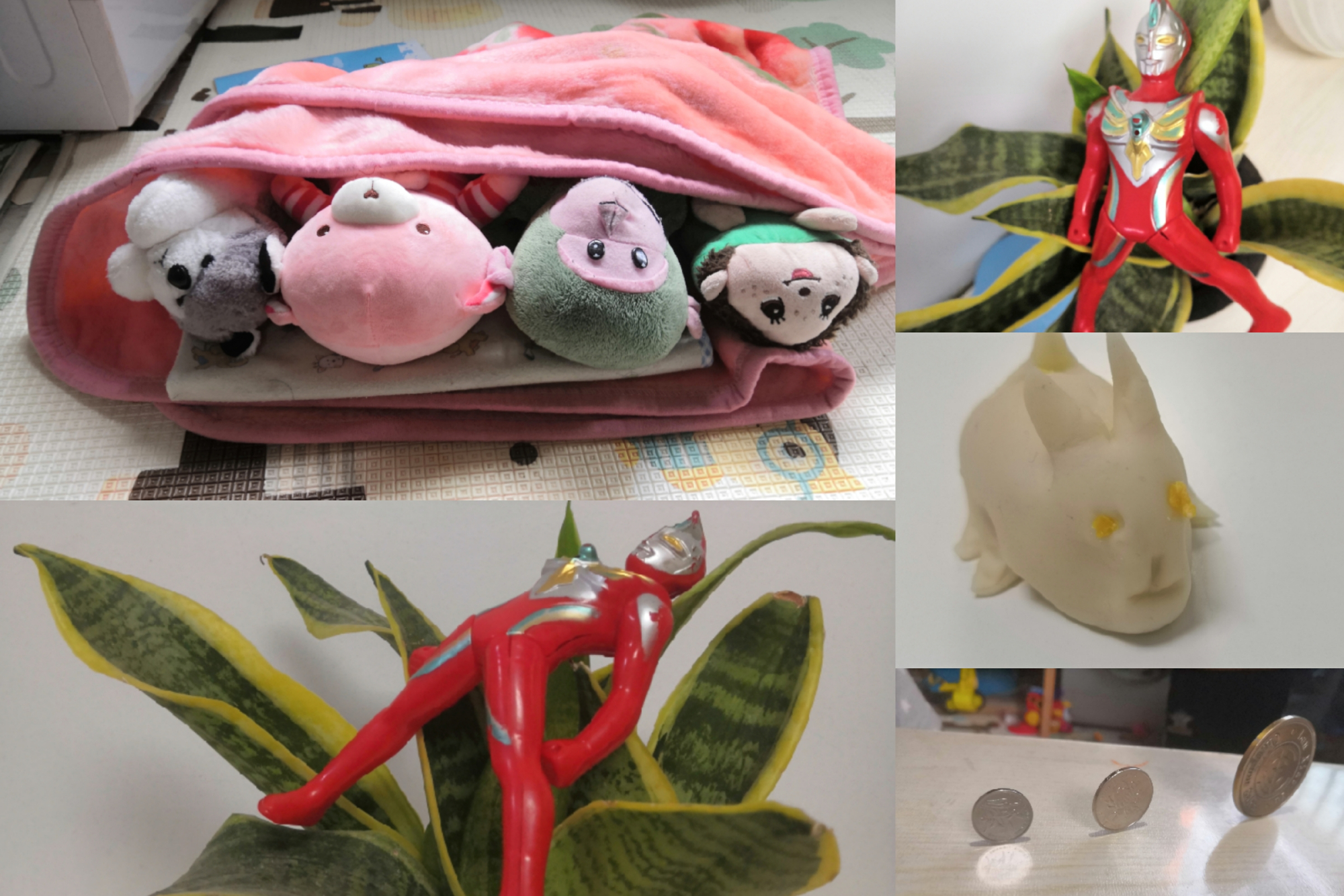 武汉新冠一家三口,疫情下广州一家三口晚餐