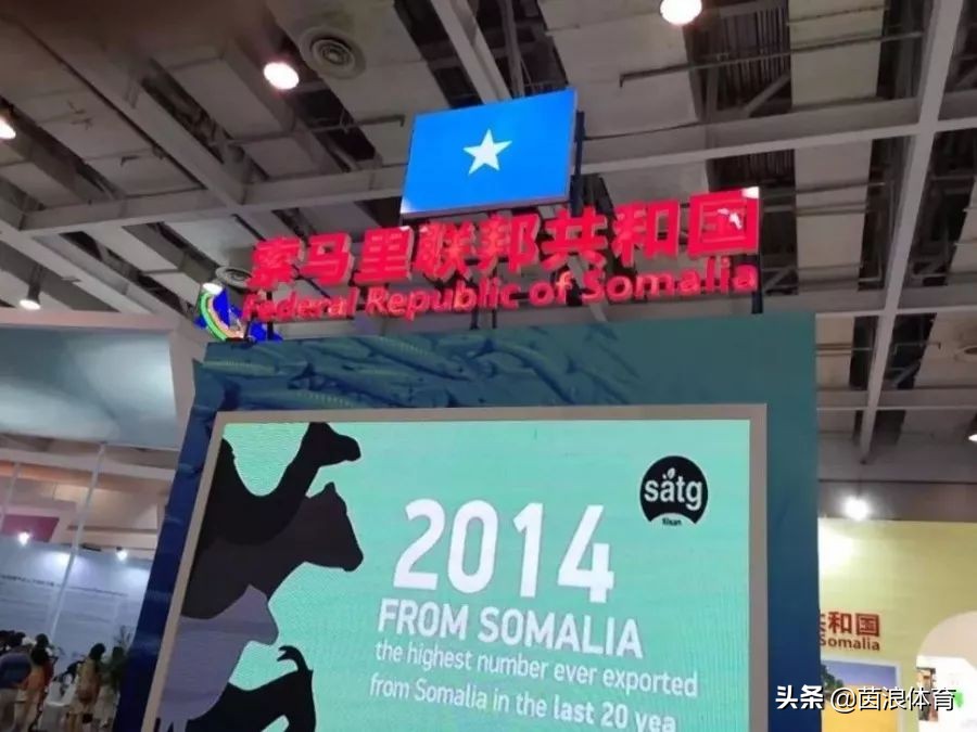 用一颗足球带你走进首届中非经贸博览会