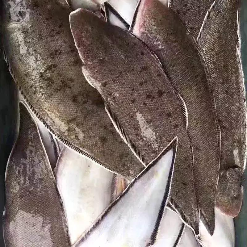 低脂低卡美食龙利鱼,龙利鱼减肥食谱一日三餐