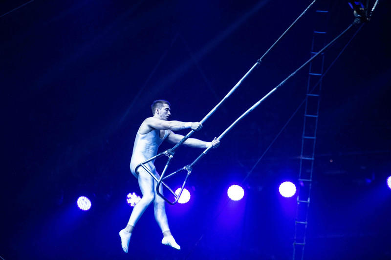 玩转广州长隆野生动物世界之行,广州长隆动物世界游玩攻略图