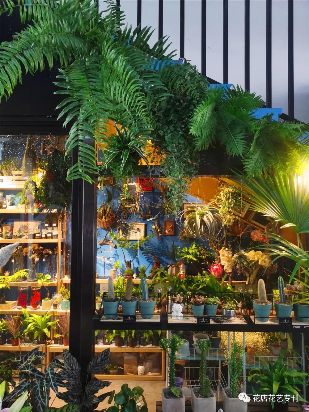 涓婃捣蹇呮墦鍗＄殑鑺卞簵,涓婃捣鑺卞簵缃戠孩