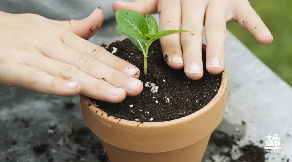 不躁不急不喜不悲不忧不扰,生活不离不弃