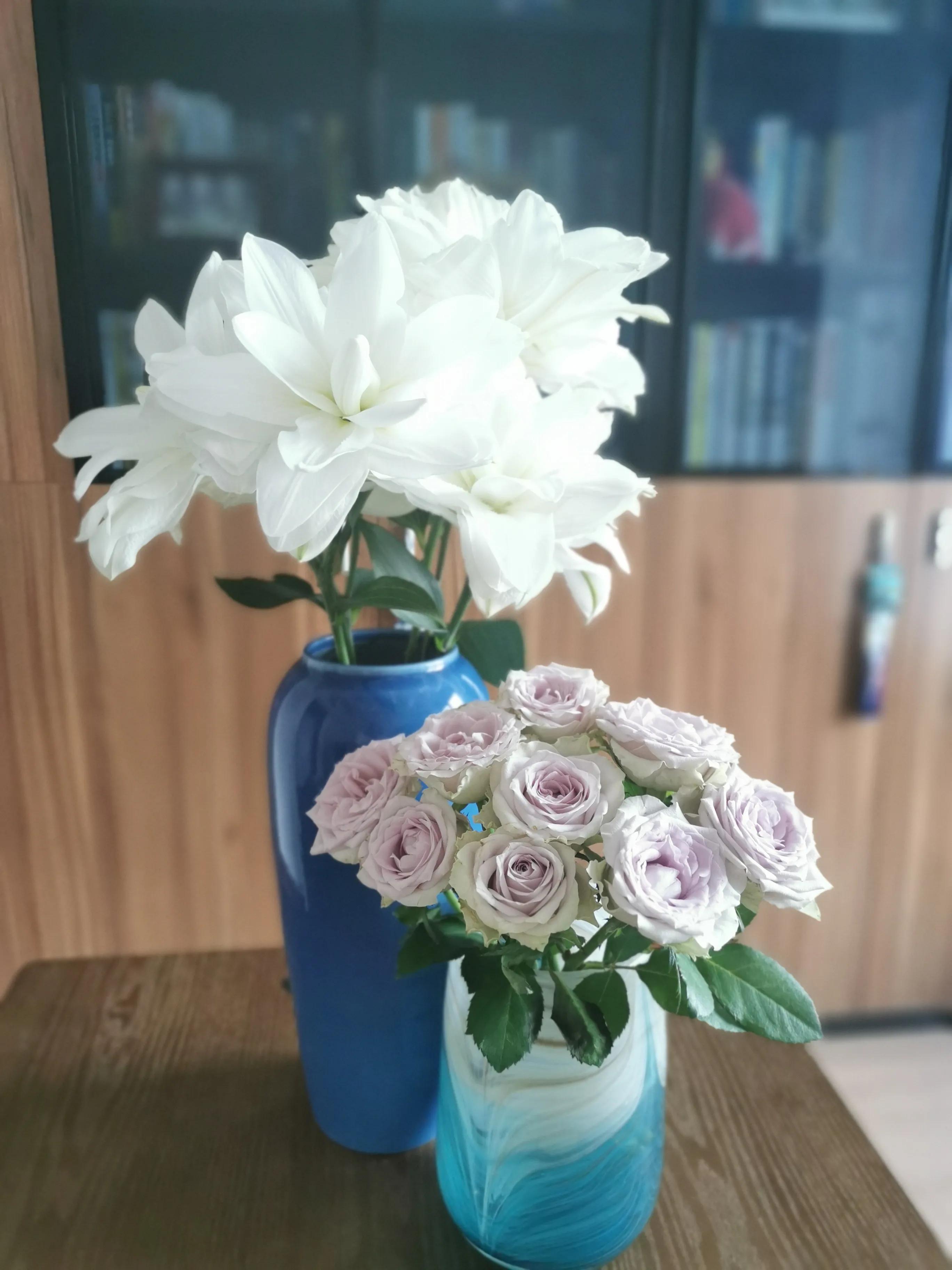 介绍一下海蓝之谜玫瑰花,海蓝之谜玫瑰推荐