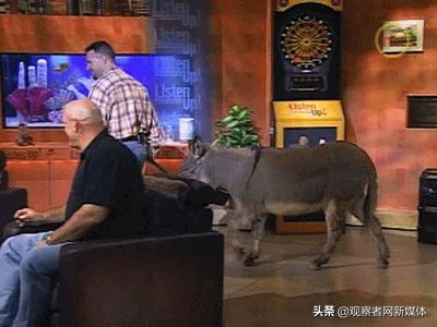 大魔王周琦再次受伤你怎么看,大魔王周琦曾经的缺点改掉了多少