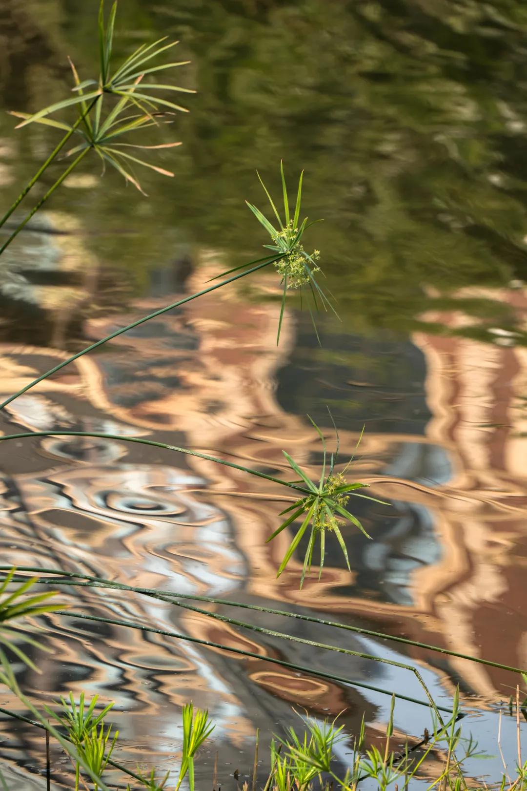 松下有哪些全幅变焦镜头,松下70-200f2.8