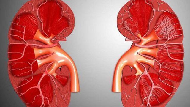 一喝水就尿多是哪里的原因,一喝点水就尿多是什么原因