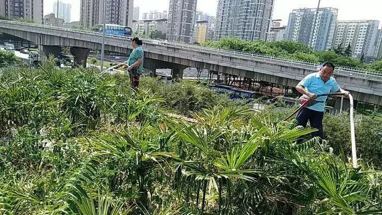 战高温斗酷暑坚守一线工地,战高温斗酷暑坚守一线照片