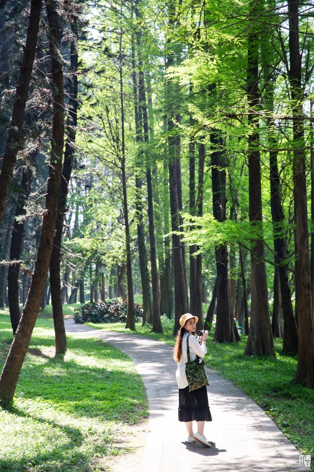 300+万㎡原始森林秘境，天河就有