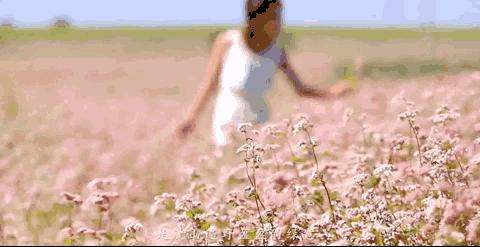 2019必去的旅行地,8月最新旅行地推荐