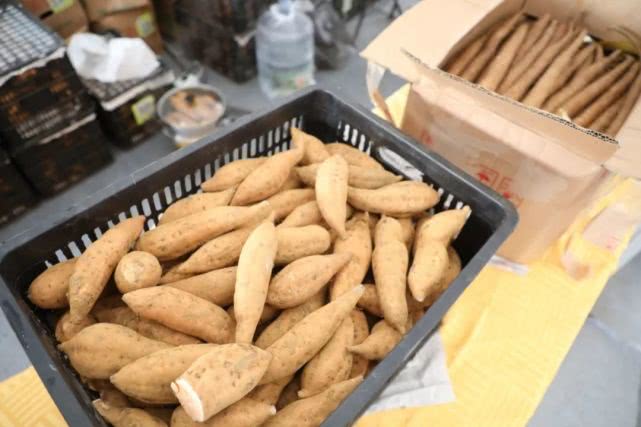 金沙滩啤酒城年货节,金沙滩啤酒城年货节图片