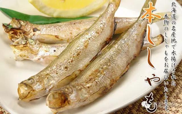 顶级鱼子比较,最奢侈的鱼子