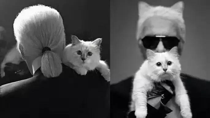 外媒炸裂！奢侈品全面*制抵**皮草，只为让更多人意识到背后的残酷