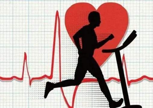 最适合锻炼的四种运动,各种运动种类