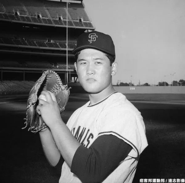 鏃ユ湰妫掔悆杞細鍒跺害,妫掔悆鑱旂洘杞細