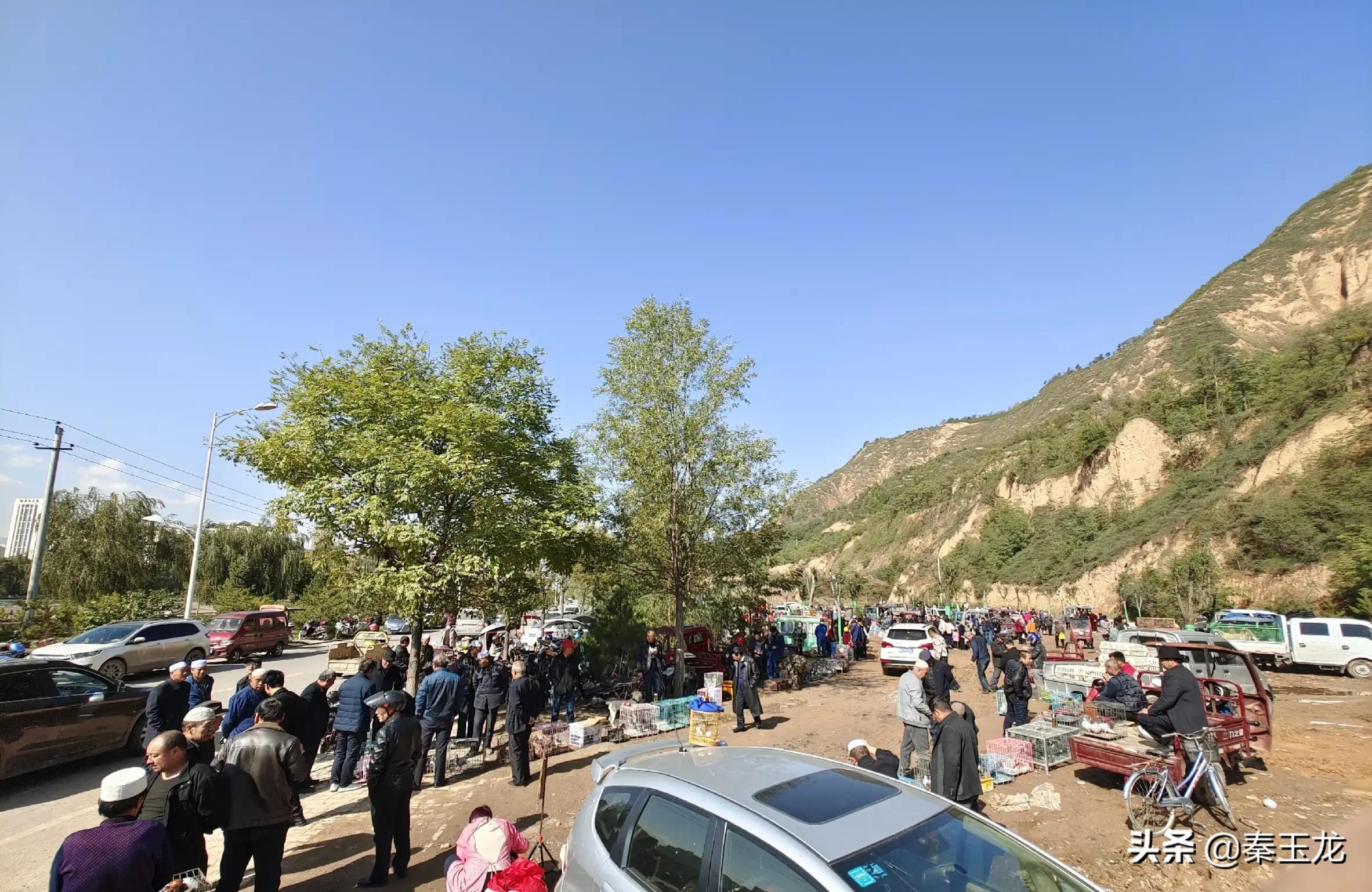 狗市，市井文化的洼地