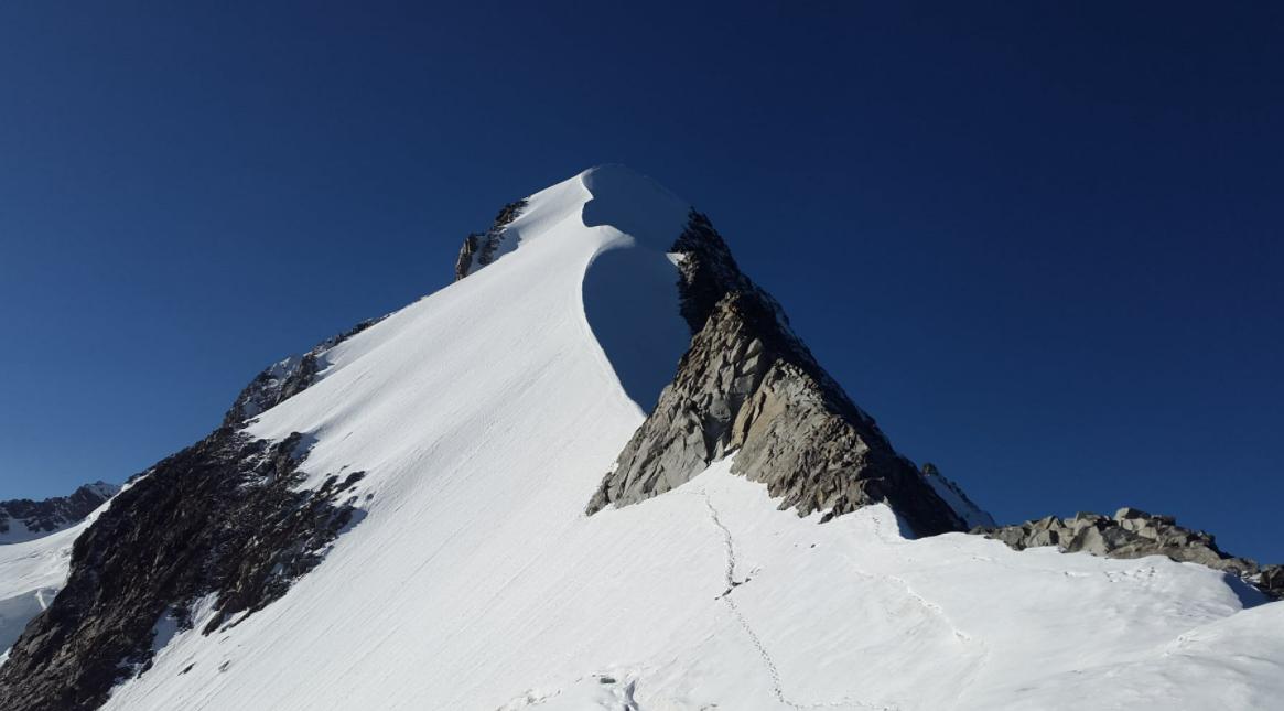 散户选股指标怎么看,散户如何看基本面和技术面