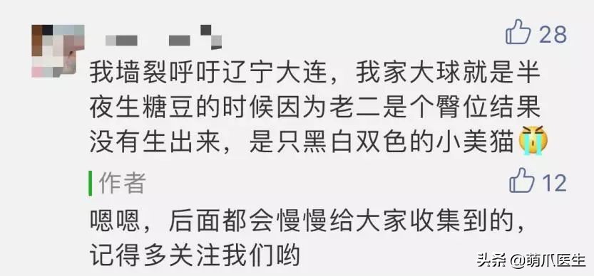 求良心靠谱的宠物医院,真正平民的宠物医院