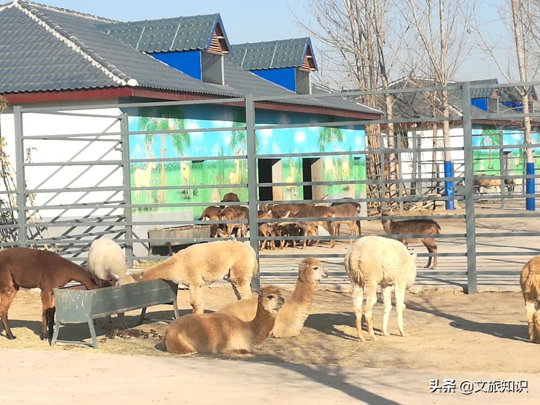 山东德州动植物园旅游区,德州市动植物园视频