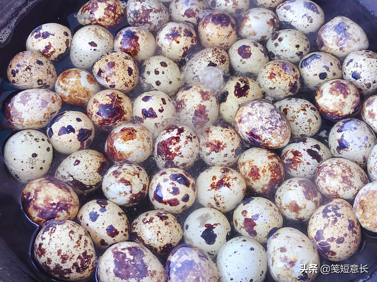 孩子不吃鸡蛋能用鹌鹑蛋代替么,小孩不爱吃鸡蛋可以吃鹌鹑蛋吗