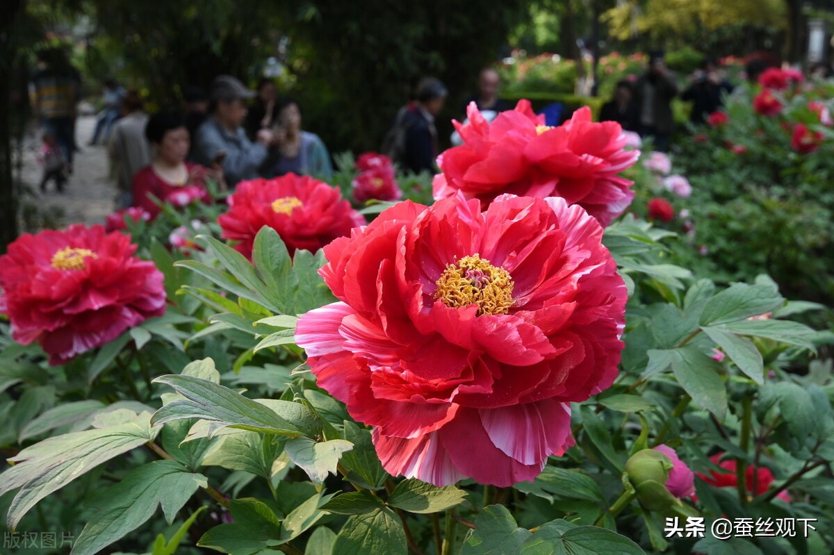 常州经济最新消息,常州经济十强镇排名