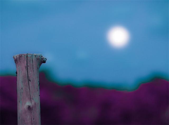 ui设计中常见的设计元素,ui设计主流设计风格有哪些