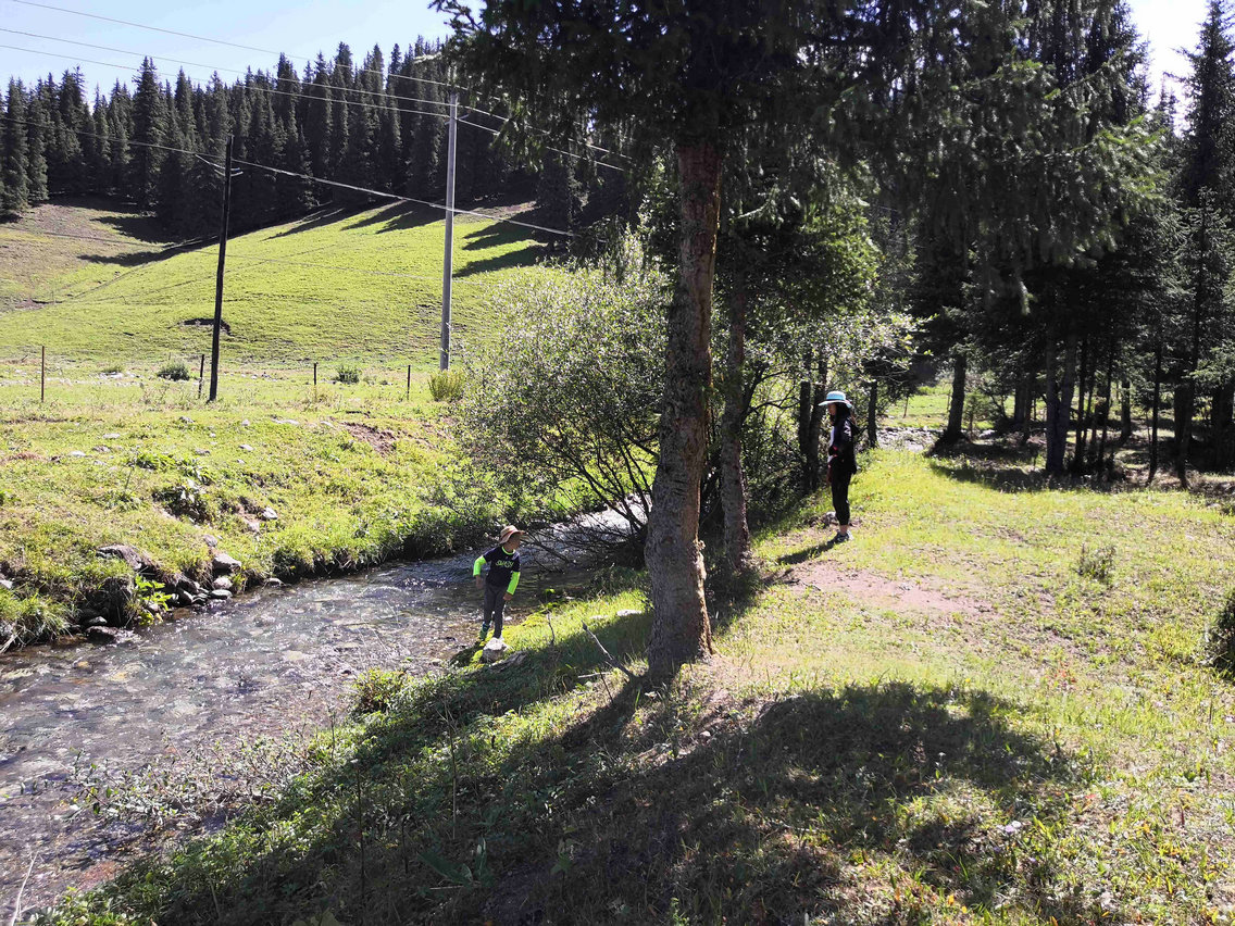 *疆新**蒙古包旅店老板，看他一天的收入多少，一个月就抵我一年工资