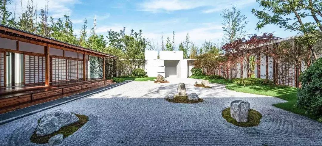 涟漪是哪篇课文,涟漪像什么