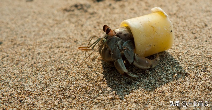 <html>
<head><title>502BadGateway</title></head>
<body>
<center><h1>502BadGateway</h1></center>
<hr><center>nginx</center>
</body>
</html>
<!--apaddingtodisableMSIEandChromefriendlyerrorpage-->
<!--apaddingtodisableMSIEandChromefriendlyerrorpage-->
<!--apaddingtodisableMSIEandChromefriendlyerrorpage-->
<!--apaddingtodisableMSIEandChromefriendlyerrorpage-->
<!--apaddingtodisableMSIEandChromefriendlyerrorpage-->
<!--apaddingtodisableMSIEandChromefriendlyerrorpage-->
