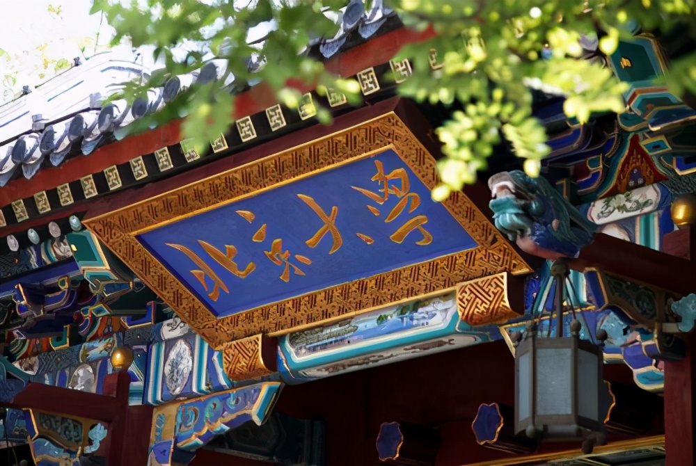 工作不分贵贱曾教授,北大硕士苏黎兰回家当油漆工