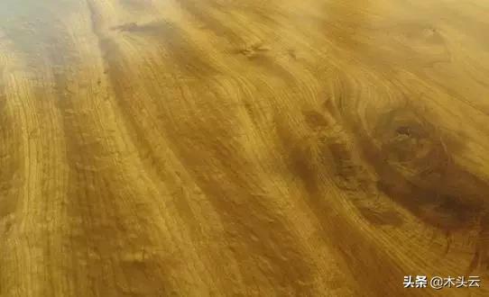 十种家具用木头,常用做家具的木材