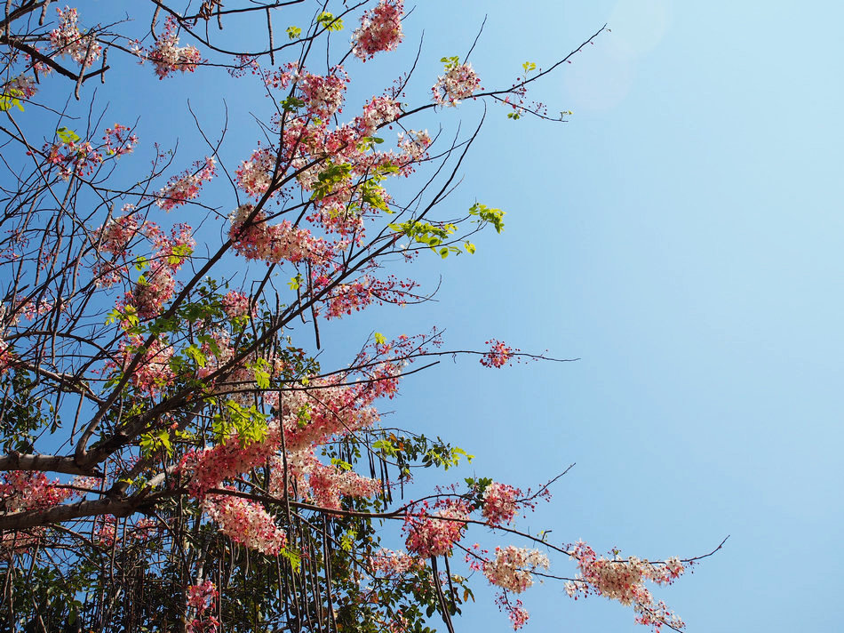 泰国7日游旅游攻略,泰国五日游攻略详细