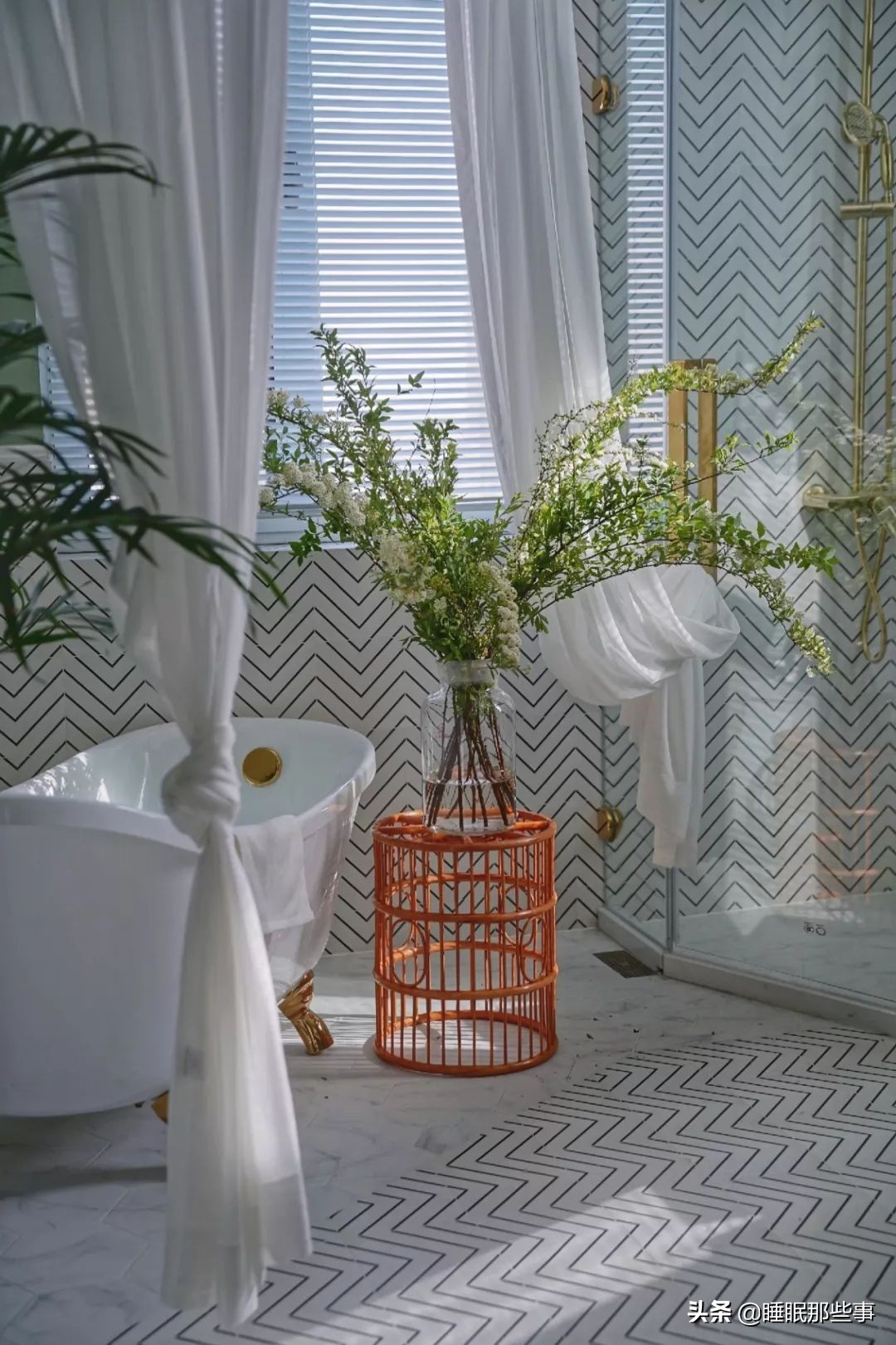 看了一眼她家的绿墙,我觉得我家还可以再抢救一下