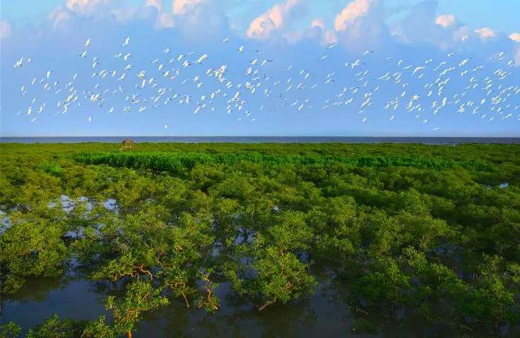 北海银滩的变化,广西北海银滩真实现状