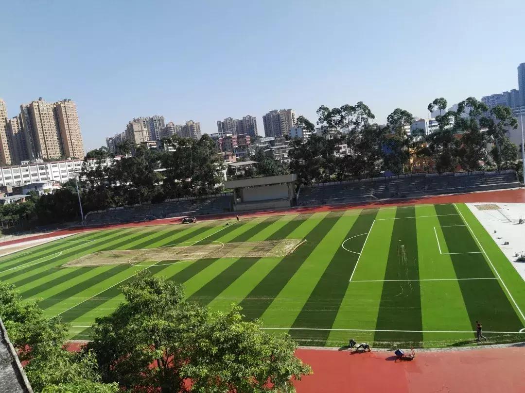 柳城中学在建什么,柳城小学操场