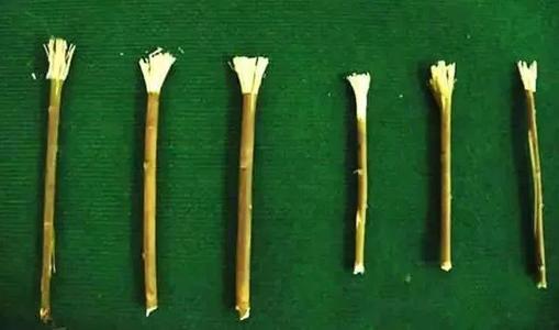 古人如何清洁牙齿？浓茶漱口、树枝擦牙、猪毛刷牙，脑洞十足