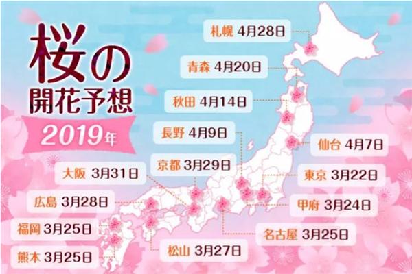 【酷游纪】日本最浪漫“樱花季”，粉红秘境遇见最美的＂樱吹雪＂