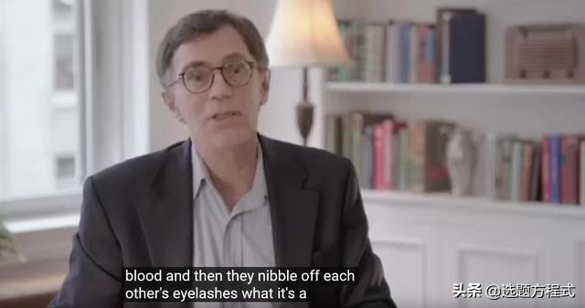 客户难以拒绝的视频创意：15个案例教你用纪录片的方式讲营销故事