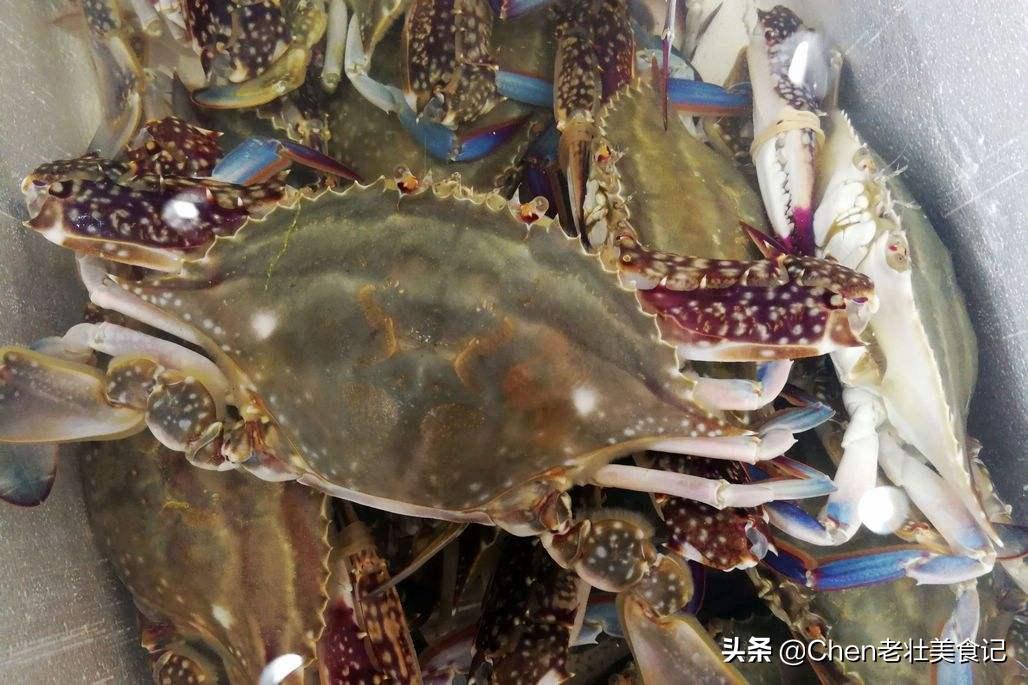 大闸蟹挑选小窍门怎么挑螃蟹,螃蟹怎么挑记住这几点你就是高手