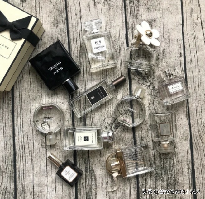 女生香水入门盲选,女性香水入门