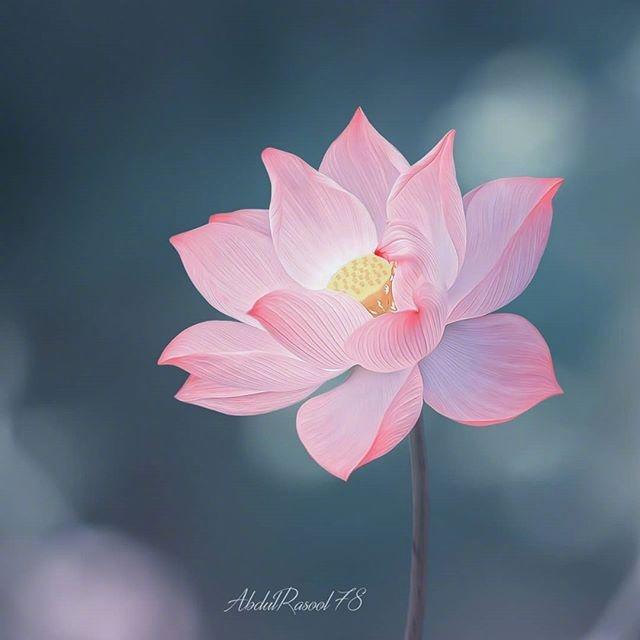 100句鼓舞人心的经典励志名言语句,十句激励人心的人生格言