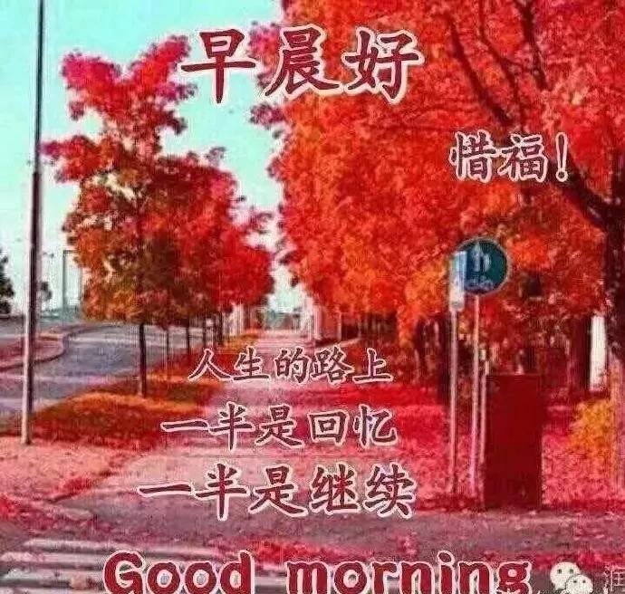 最新群友们早上好问候祝福语,微信群关于早上好的祝福语