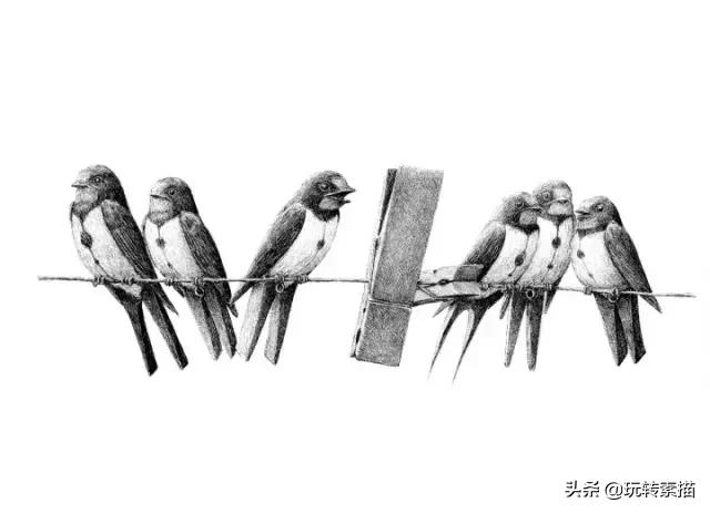 小清新素描黑白插画,看似抽象实则写实的画