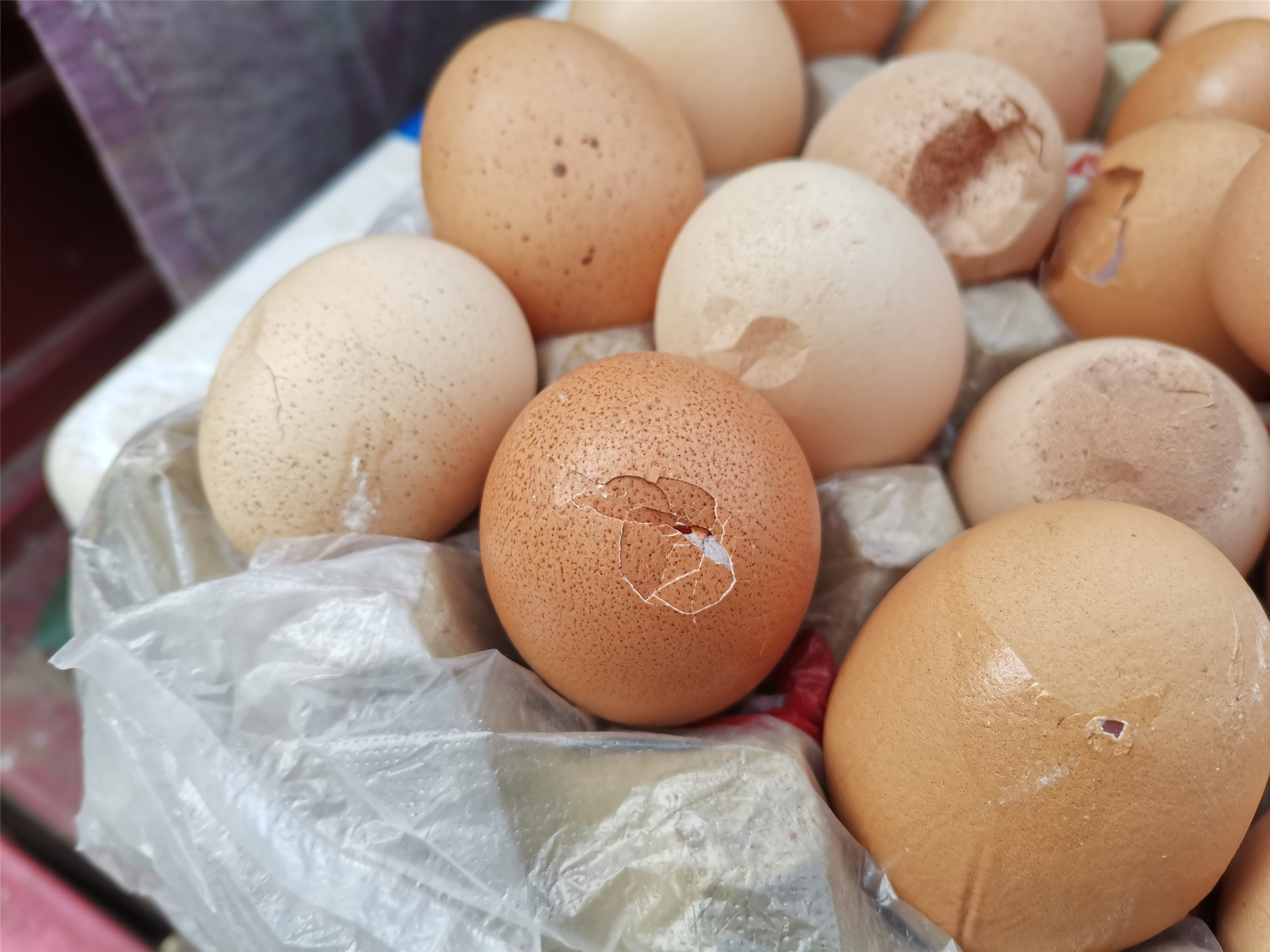 白壳鸡蛋和红壳鸡蛋哪个贵点,买鸡蛋要买壳厚的还是壳薄的