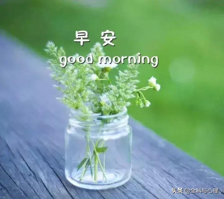 温暖的早安心语一句话正能量短句,早安心灵鸡汤励志正能量短句