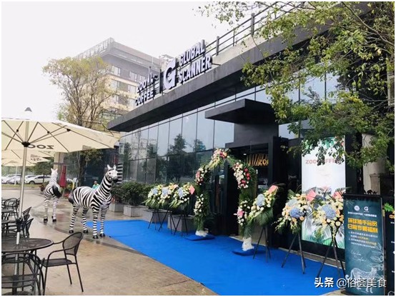 环球捕手为啥改名了,环球捕手李潇很牛吗