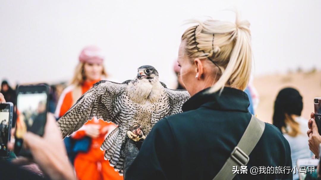 迪拜旅游攻略必去的地方,迪拜游玩全攻略